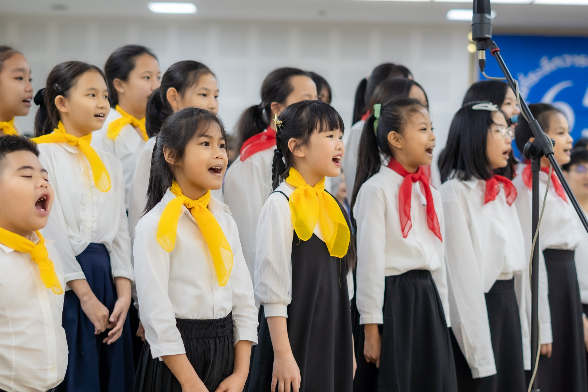 การศึกษา