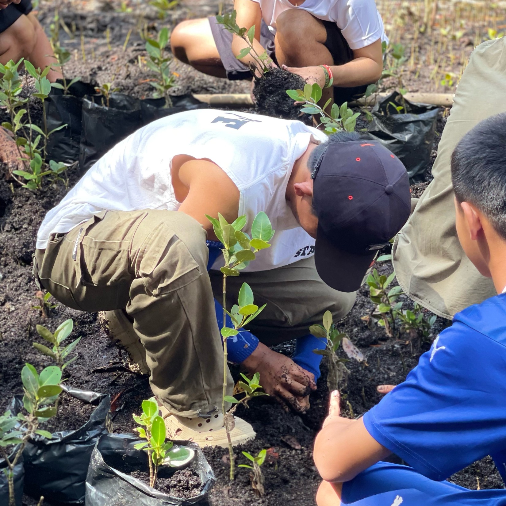 สันติภาพ